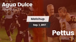 Matchup: Agua Dulce High vs. Pettus  2017