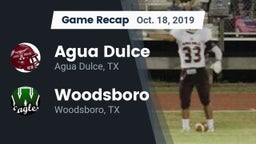 Recap: Agua Dulce  vs. Woodsboro  2019