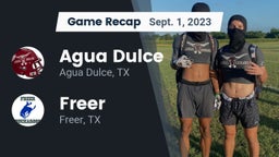 Recap: Agua Dulce  vs. Freer  2023