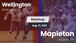 Matchup: Wellington High vs. Mapleton  2018