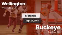 Matchup: Wellington High vs. Buckeye  2018