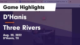 D'Hanis  vs Three Rivers  Game Highlights - Aug. 20, 2022