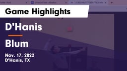 D'Hanis  vs Blum Game Highlights - Nov. 17, 2022