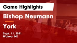 Bishop Neumann  vs York  Game Highlights - Sept. 11, 2021