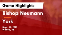 Bishop Neumann  vs York  Game Highlights - Sept. 11, 2022