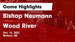 Bishop Neumann  vs Wood River  Game Highlights - Oct. 15, 2022