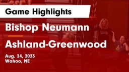 Bishop Neumann  vs Ashland-Greenwood  Game Highlights - Aug. 24, 2023