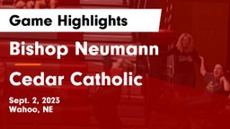 Bishop Neumann  vs Cedar Catholic  Game Highlights - Sept. 2, 2023