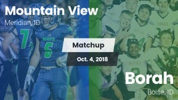 Matchup: Mountain View High vs. Borah  2018
