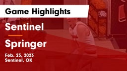 Sentinel  vs Springer  Game Highlights - Feb. 23, 2023