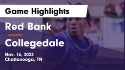 Red Bank  vs Collegedale Game Highlights - Nov. 16, 2023