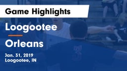 Loogootee  vs Orleans Game Highlights - Jan. 31, 2019