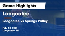 Loogootee  vs Loogootee vs Springs Valley Game Highlights - Feb. 28, 2024