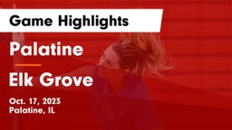 Palatine  vs Elk Grove  Game Highlights - Oct. 17, 2023