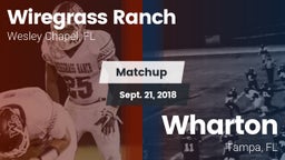 Matchup: Wiregrass Ranch vs. Wharton  2018