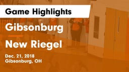 Gibsonburg  vs New Riegel  Game Highlights - Dec. 21, 2018