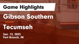 Gibson Southern  vs Tecumseh  Game Highlights - Jan. 12, 2023