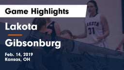 Lakota vs Gibsonburg  Game Highlights - Feb. 14, 2019