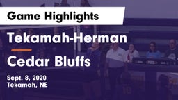 Tekamah-Herman  vs Cedar Bluffs  Game Highlights - Sept. 8, 2020