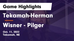 Tekamah-Herman  vs Wisner - Pilger  Game Highlights - Oct. 11, 2022