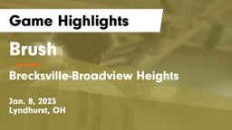 Brush  vs Brecksville-Broadview Heights  Game Highlights - Jan. 8, 2023