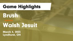 Brush  vs Walsh Jesuit  Game Highlights - March 4, 2023