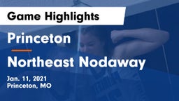 Princeton  vs Northeast Nodaway Game Highlights - Jan. 11, 2021