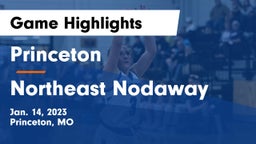 Princeton  vs Northeast Nodaway Game Highlights - Jan. 14, 2023