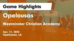 Opelousas  vs Westminster Christian Academy  Game Highlights - Jan. 11, 2024