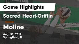 Sacred Heart-Griffin  vs Moline  Game Highlights - Aug. 31, 2019
