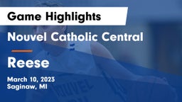 Nouvel Catholic Central  vs Reese  Game Highlights - March 10, 2023
