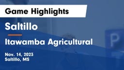 Saltillo  vs Itawamba Agricultural  Game Highlights - Nov. 14, 2023