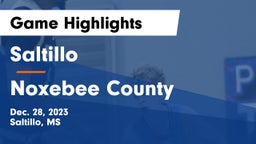 Saltillo  vs Noxebee County Game Highlights - Dec. 28, 2023