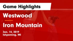 Westwood  vs Iron Mountain  Game Highlights - Jan. 14, 2019