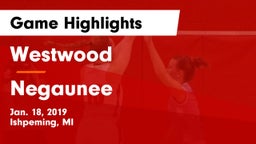 Westwood  vs Negaunee  Game Highlights - Jan. 18, 2019