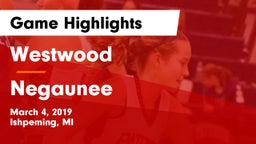 Westwood  vs Negaunee  Game Highlights - March 4, 2019