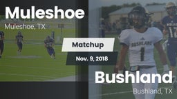 Matchup: Muleshoe  vs. Bushland  2018