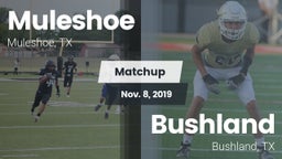 Matchup: Muleshoe  vs. Bushland  2019