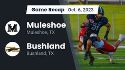 Recap: Muleshoe  vs. Bushland  2023