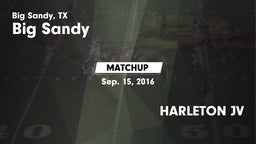 Matchup: Big Sandy High vs. HARLETON JV 2016