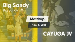 Matchup: Big Sandy High vs. CAYUGA JV 2016