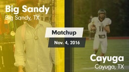 Matchup: Big Sandy High vs. Cayuga  2016