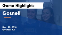 Gosnell  Game Highlights - Dec. 28, 2018