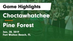 Choctawhatchee  vs Pine Forest  Game Highlights - Jan. 28, 2019