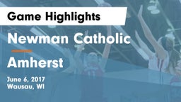 Newman Catholic  vs Amherst Game Highlights - June 6, 2017