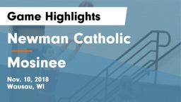 Newman Catholic  vs Mosinee  Game Highlights - Nov. 10, 2018
