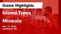 Island Trees  vs Mineola  Game Highlights - Jan. 11, 2019