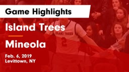 Island Trees  vs Mineola Game Highlights - Feb. 6, 2019