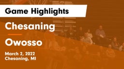 Chesaning  vs Owosso  Game Highlights - March 2, 2022