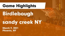 Birdlebough  vs sandy creek  NY Game Highlights - March 9, 2021